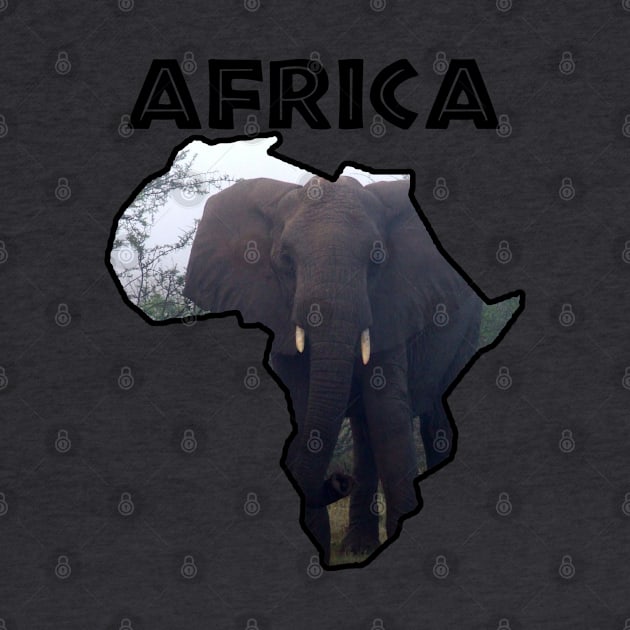 Africa Wildlife Continent Elephant Mist by PathblazerStudios